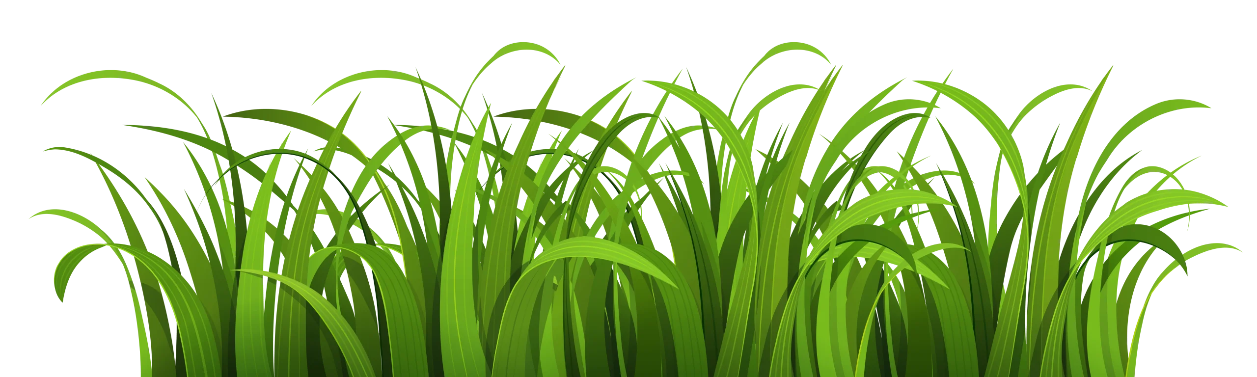 Fresh Green Grass Clipart Illustration - Lush Verdant Nature Border Design