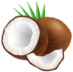 Realistic Tropical Coconut Clipart Showcasing Whole and Cracked Nuts with Green Leaves