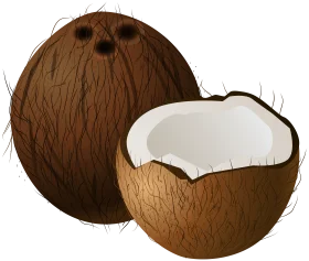 Rustic Whole and Halved Coconut Clipart with Textured Brown Shell