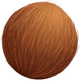 Rustic Wooden Textured Coconut Shell Sphere Clipart with Natural Grain Patterns