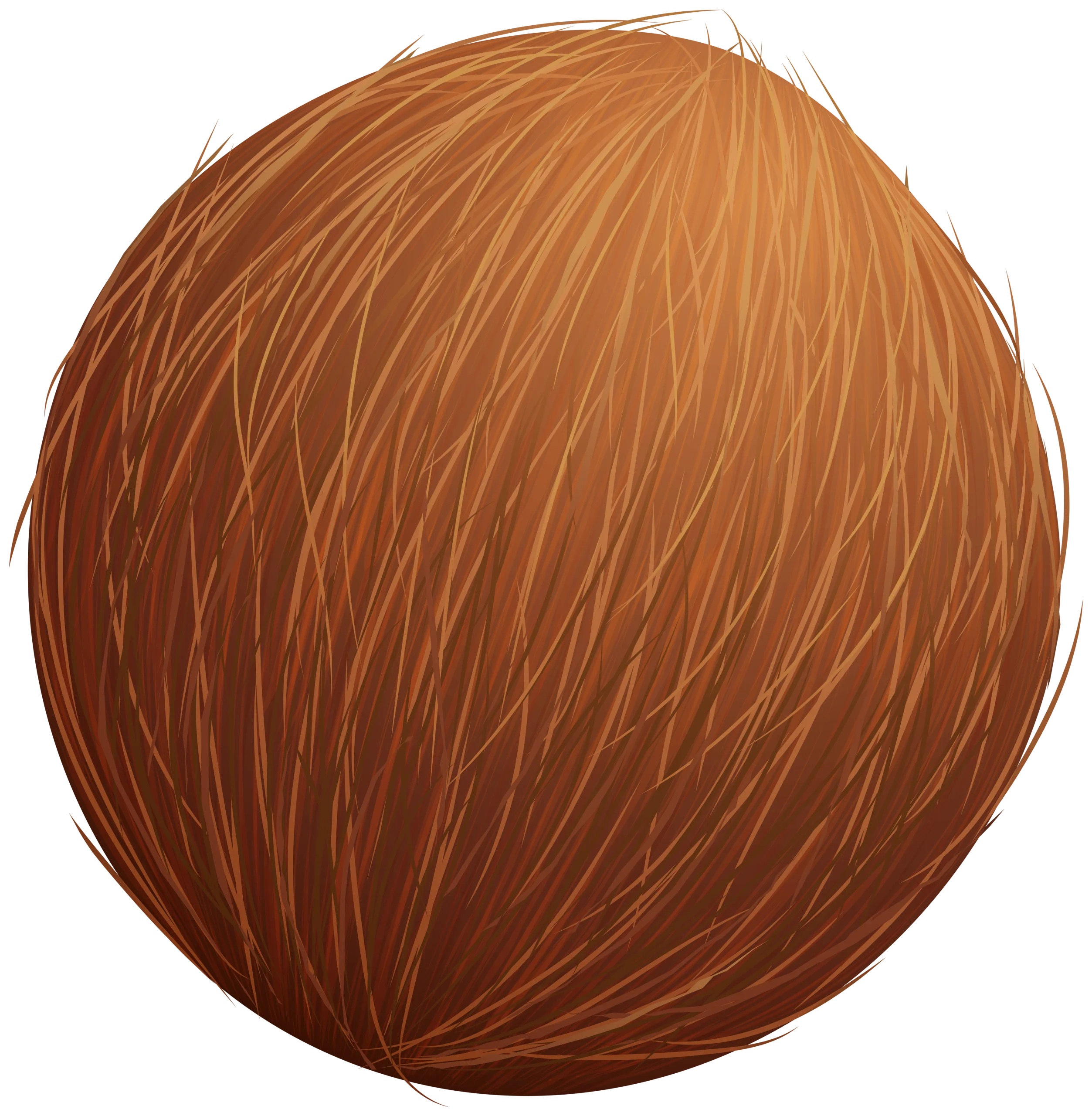 Rustic Wooden Textured Coconut Shell Sphere Clipart with Natural Grain Patterns