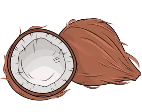 Artistic Botanical Illustration of Split Coconut Clipart with Natural Tones