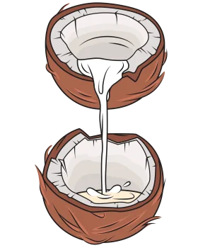 Artistic Coconut Clipart Illustration Showcasing Tropical Fruit Cross-Section