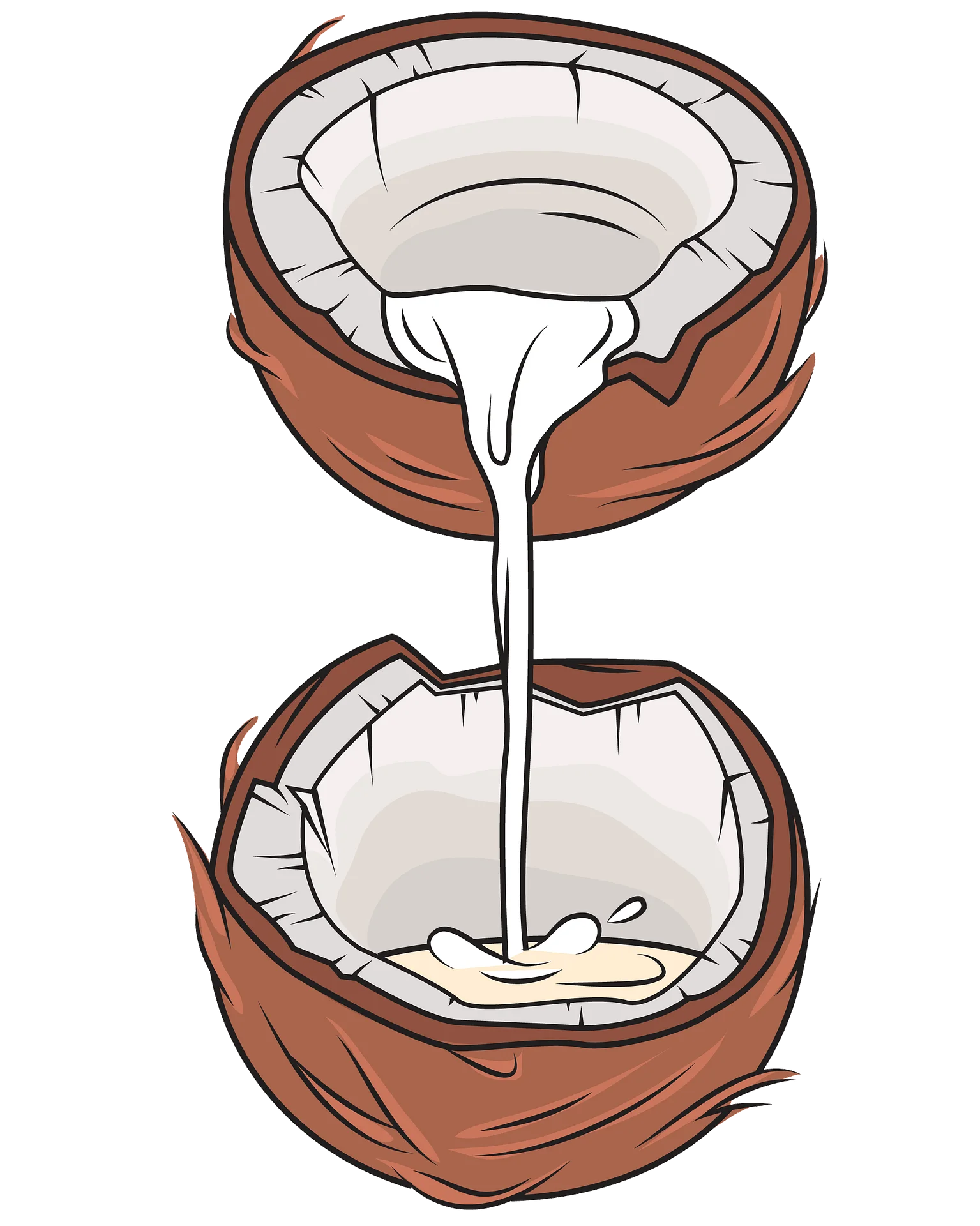 Artistic Coconut Clipart Illustration Showcasing Tropical Fruit Cross-Section