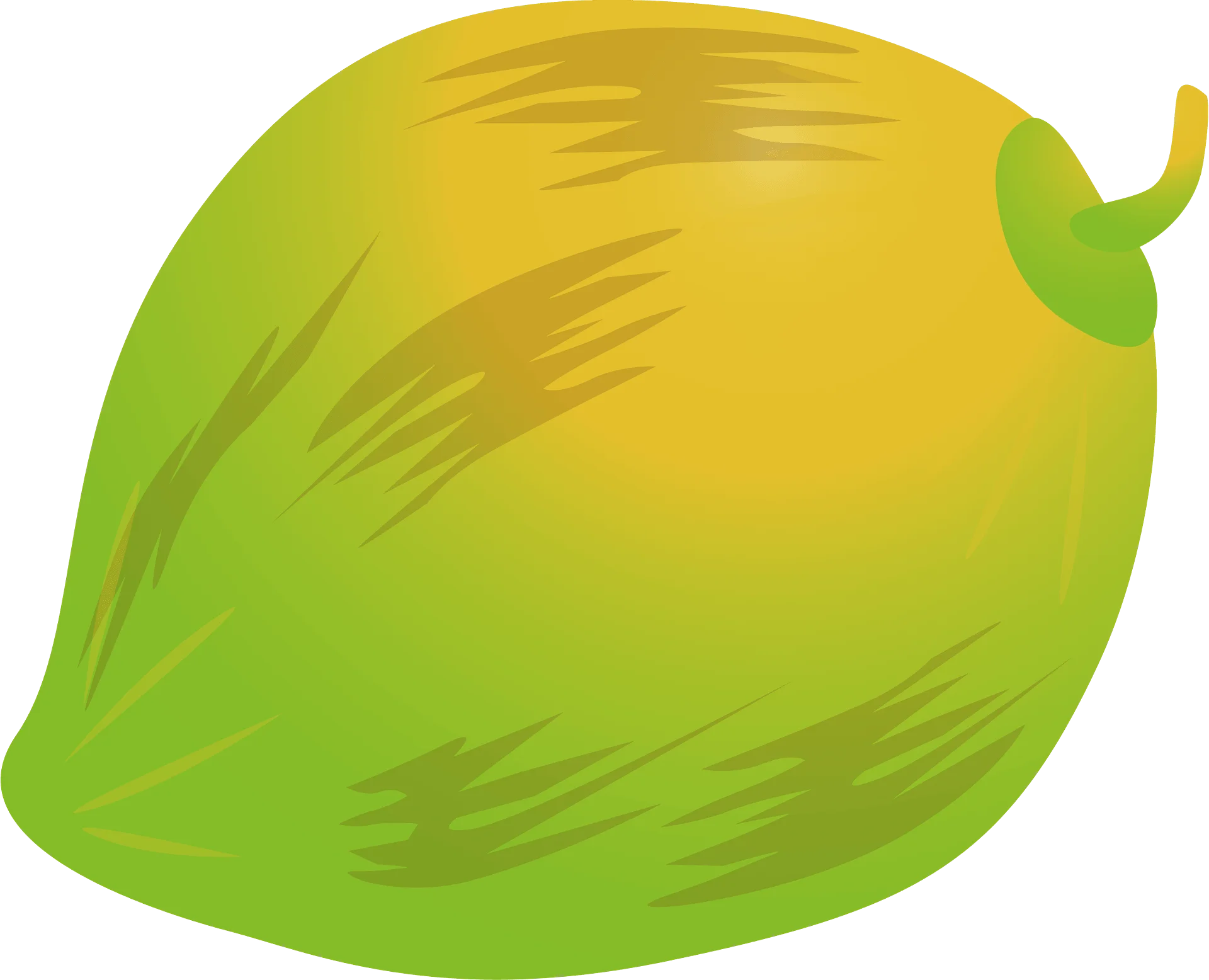 Fresh Green and Yellow Tropical Coconut Fruit Clipart Illustration Design