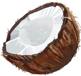 Photorealistic Split Coconut Clipart Showcasing Detailed Textural Interior and Exterior