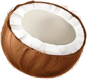 Realistic Half-Cut Coconut Clipart with Textured Brown Shell and White Flesh