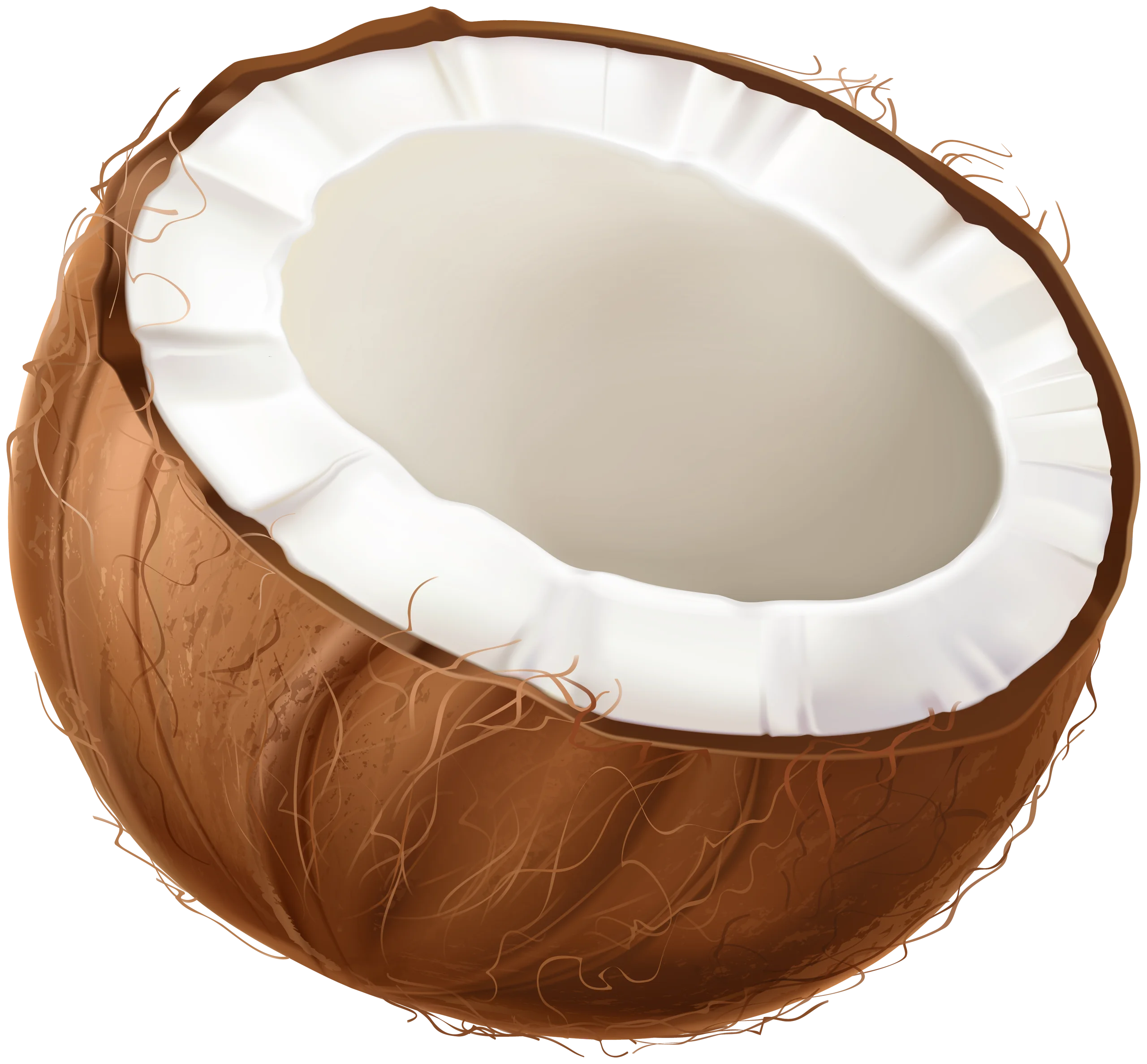 Realistic Half-Cut Coconut Clipart with Textured Brown Shell and White Flesh