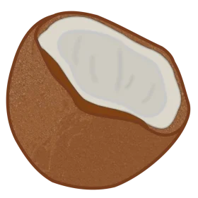 Rustic Coconut Halved Clipart Illustration with Soft Textured Shell