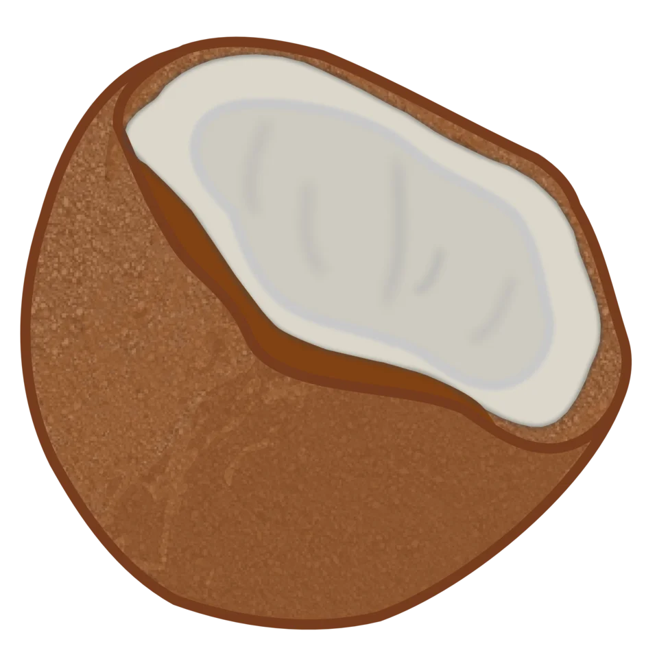 Rustic Coconut Halved Clipart Illustration with Soft Textured Shell