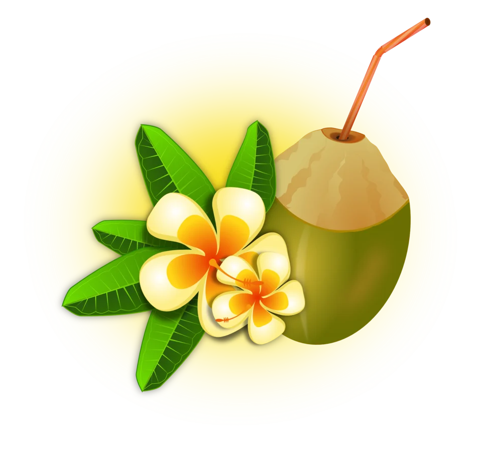 Tropical Paradise Coconut and Plumeria Flower Refreshing Summer Clipart Design