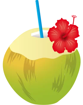 Tropical Paradise Refreshment: Coconut Drink Clipart with Hibiscus Flower