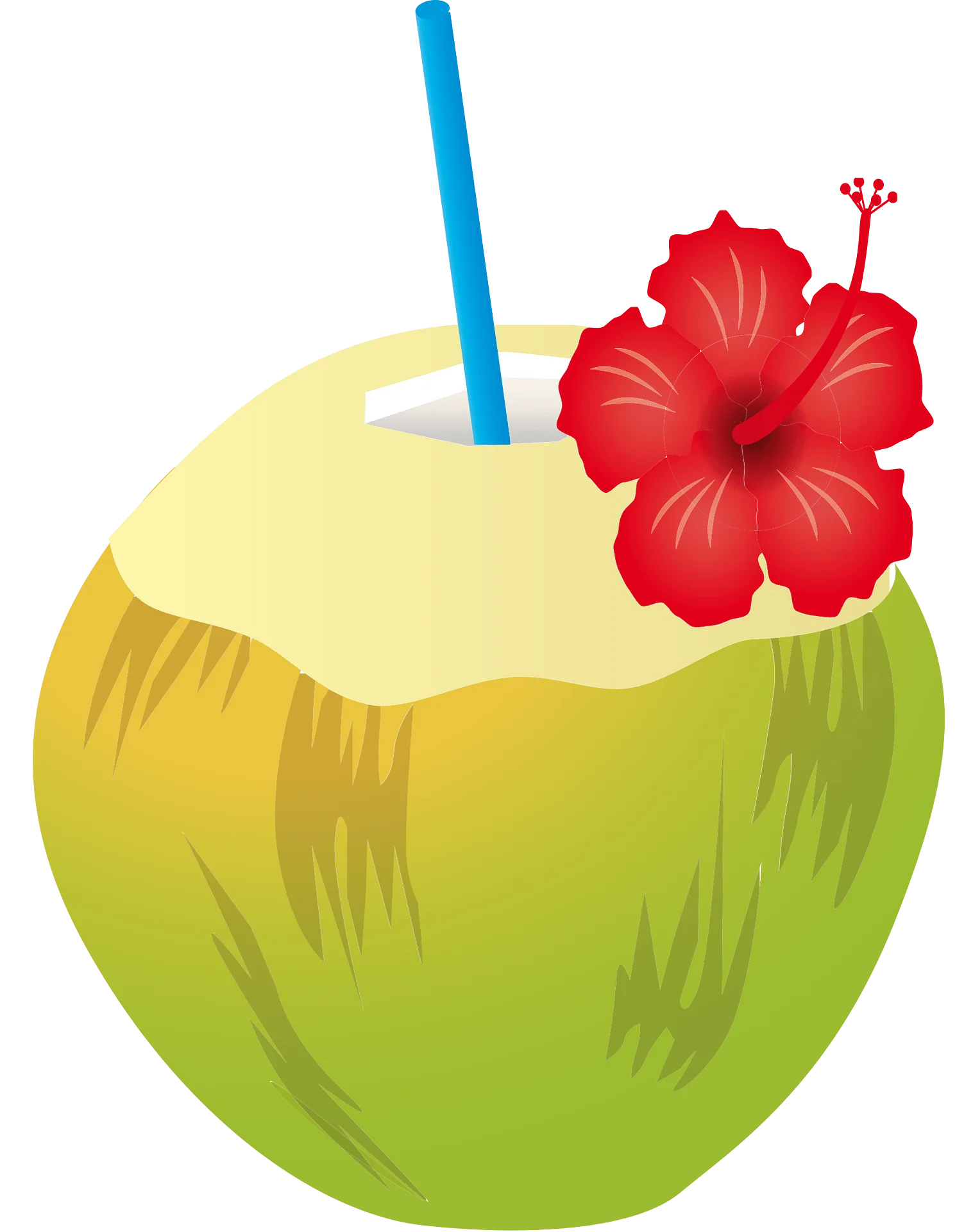 Tropical Paradise Refreshment: Coconut Drink Clipart with Hibiscus Flower