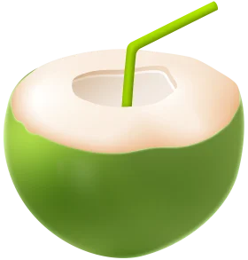 Fresh Green Coconut Clipart with Drinking Straw - Tropical Refreshment Illustration
