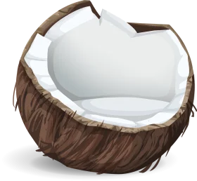 Realistic Half-Opened Coconut Shell Clipart Illustration with Detailed Texture