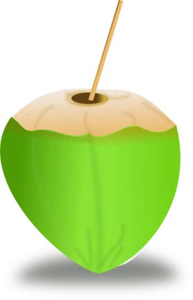 Fresh Green Coconut Clipart with Wooden Straw - Tropical Beverage Illustration