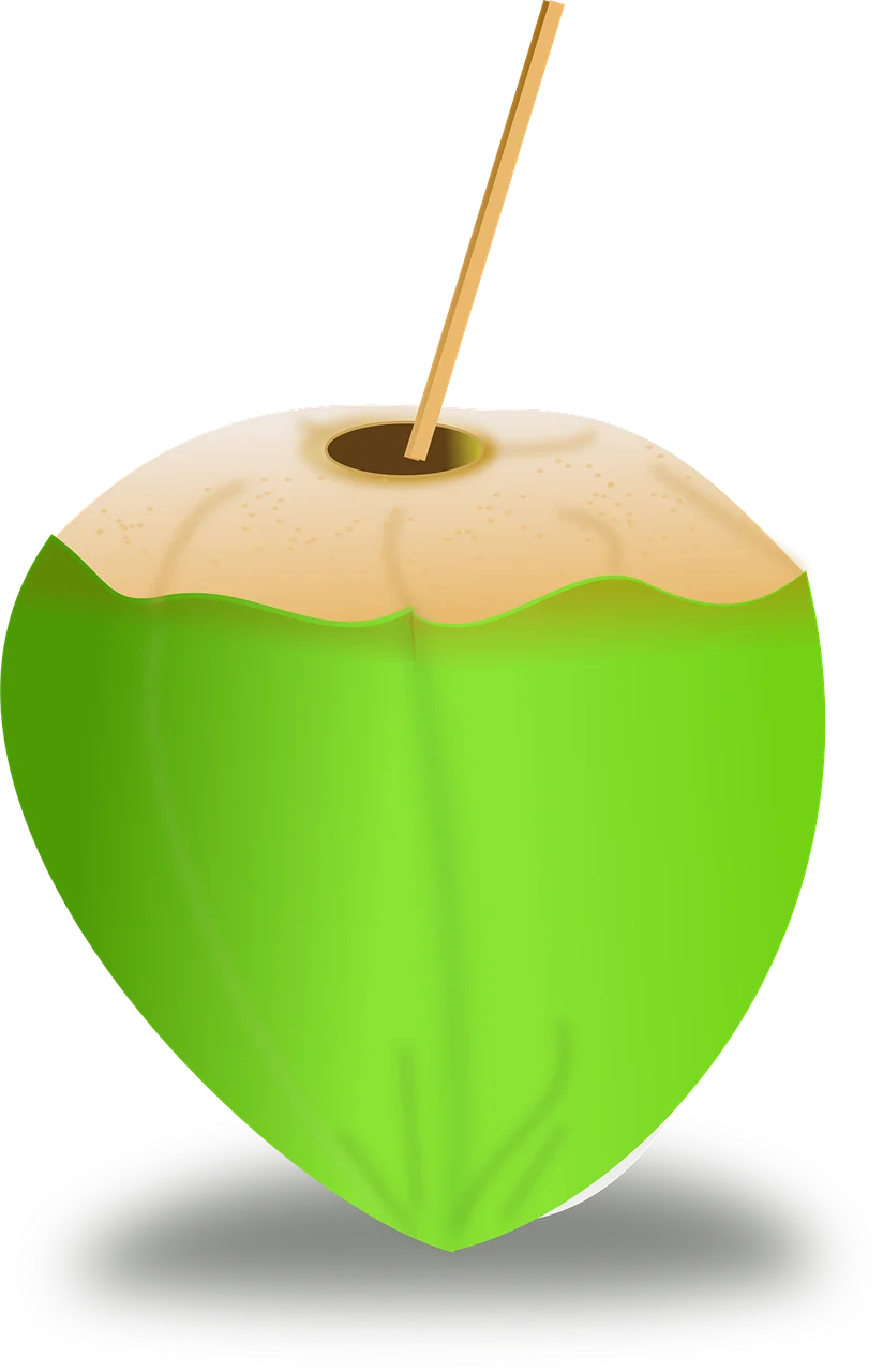 Fresh Green Coconut Clipart with Wooden Straw - Tropical Beverage Illustration