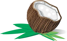 Rustic Halved Coconut with Fresh Green Leaves Tropical Clipart Illustration