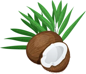 Tropical Coconut Clipart: Whole and Halved Coconut with Fresh Green Leaves
