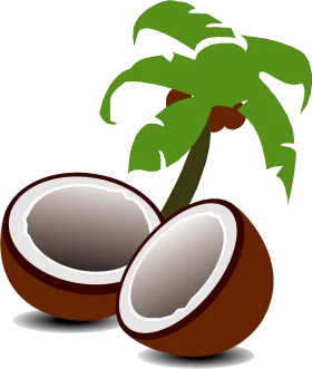Tropical Paradise Coconut Clipart with Palm Tree Illustration