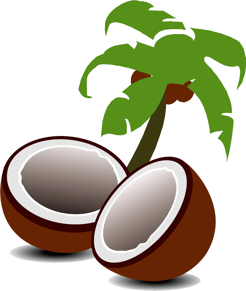 Tropical Paradise Coconut Clipart with Palm Tree Illustration