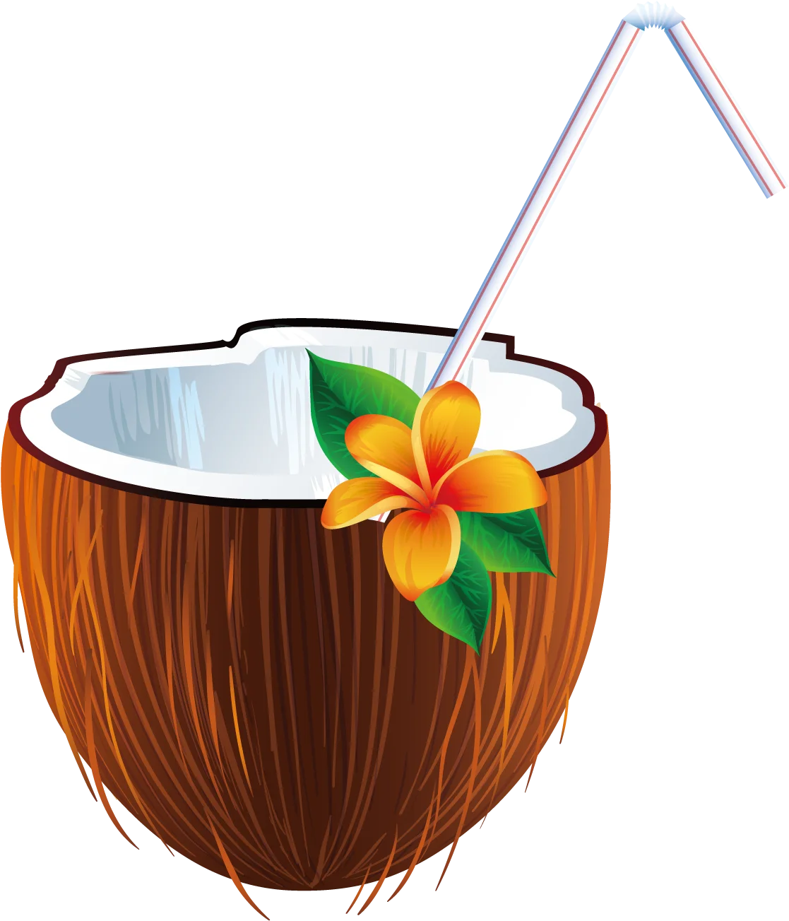 Tropical Paradise Coconut Cocktail Clipart with Exotic Flower Decoration