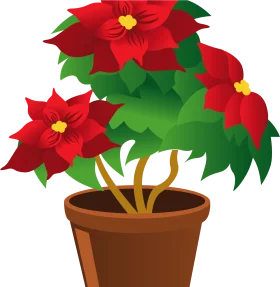 Beautiful Festive Poinsettia Plant in Terra Cotta Pot - Holiday Seasonal Clipart