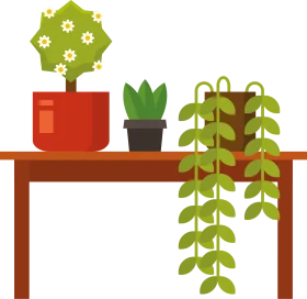 Charming Indoor Potted Plants Clipart Collection on Wooden Shelf Display
