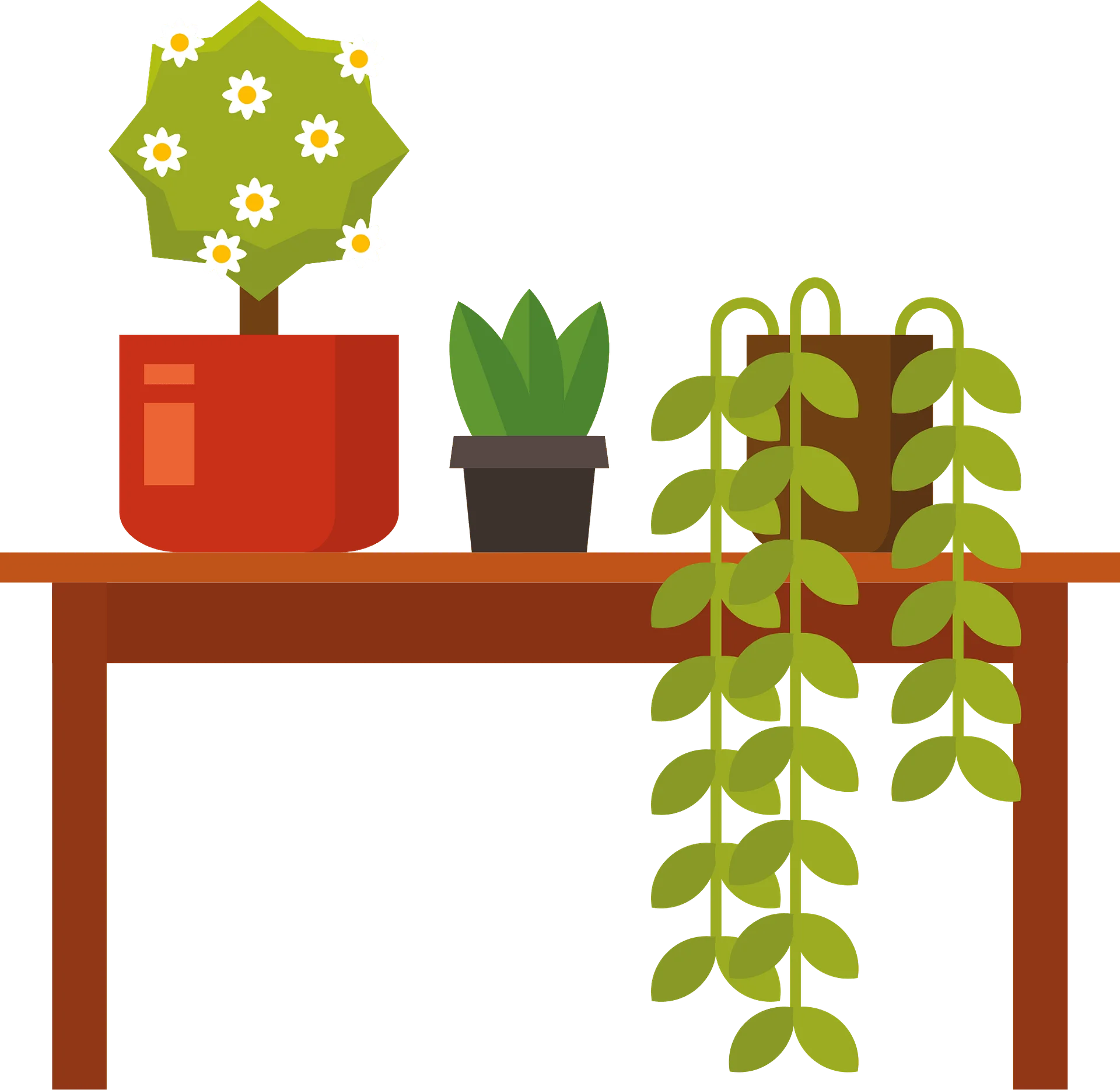 Charming Indoor Potted Plants Clipart Collection on Wooden Shelf Display