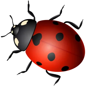 Charming Ladybug Clipart Illustration with Glossy Red and Black Design