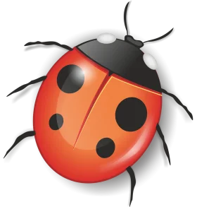 Charming Ladybug Clipart Illustration with Glossy Red Shell and Black Spots