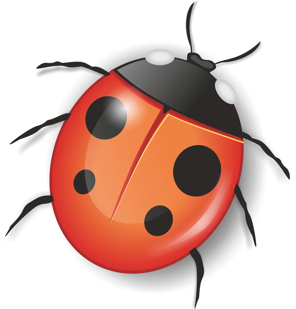 Charming Ladybug Clipart Illustration with Glossy Red Shell and Black Spots