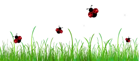 Cheerful Ladybugs Dancing Among Fresh Green Grass Clipart Scene
