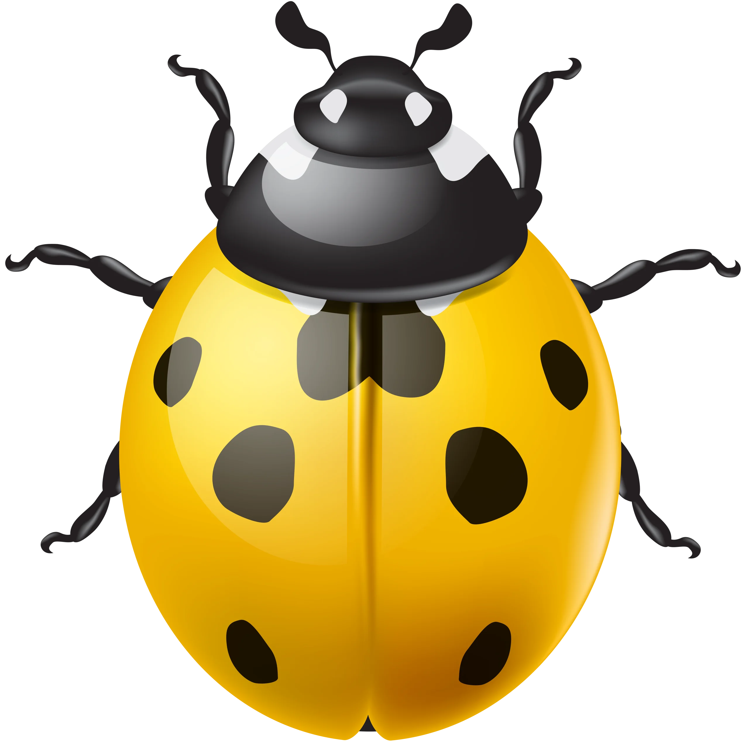 Cheerful Yellow Ladybug Clipart: Adorable Insect Illustration with Glossy Finish