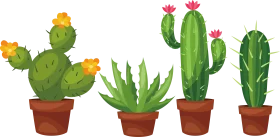 Desert Botanical Collection: Succulent and Cactus Clipart Illustration Series