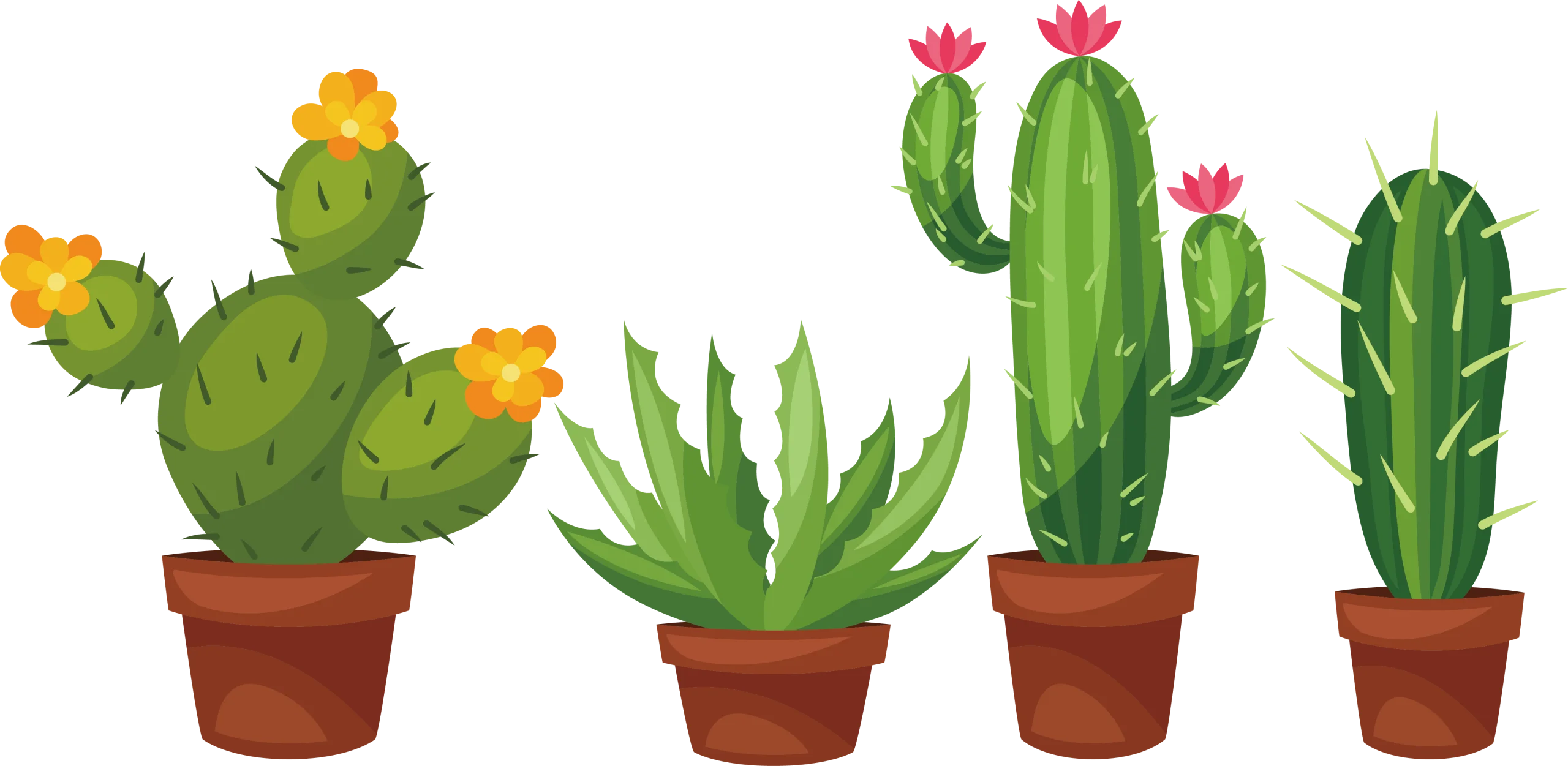 Desert Botanical Collection: Succulent and Cactus Clipart Illustration Series