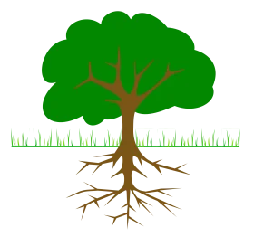 Detailed Botanical Illustration of Tree with Extensive Root System Clipart