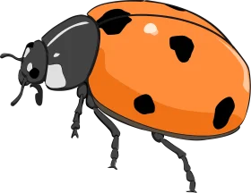 Detailed Cartoon Ladybug Clipart Illustration with Bold Orange and Black Design