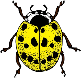 Detailed Illustration of a Vibrant Yellow and Black Spotted Ladybug Clipart Design
