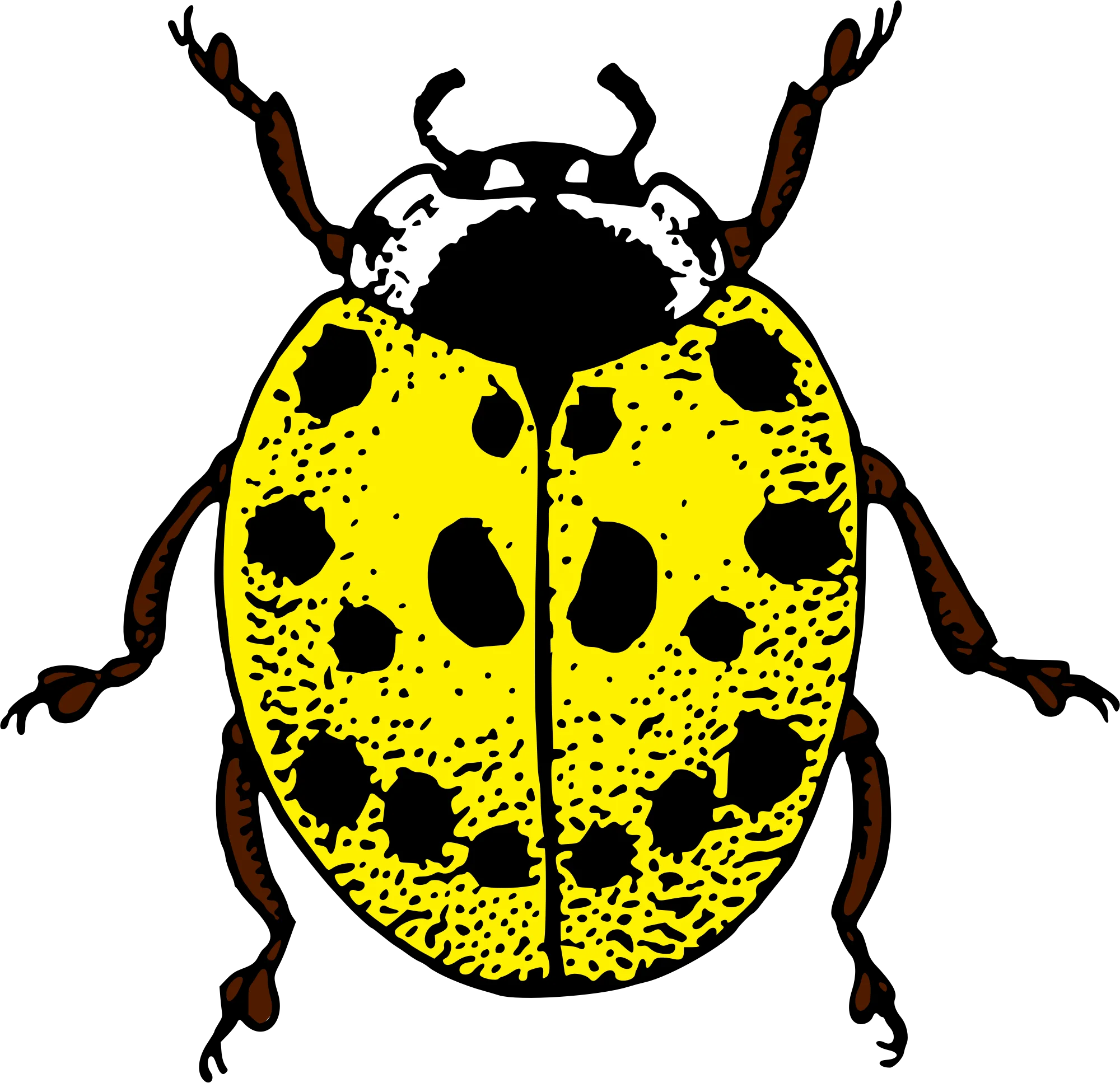 Detailed Illustration of a Vibrant Yellow and Black Spotted Ladybug Clipart Design