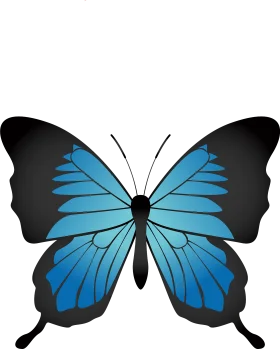 Elegant Blue and Black Butterfly Clipart Illustration Design