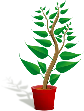 Elegant Green Potted Plant Clipart Illustration with Curved Branches