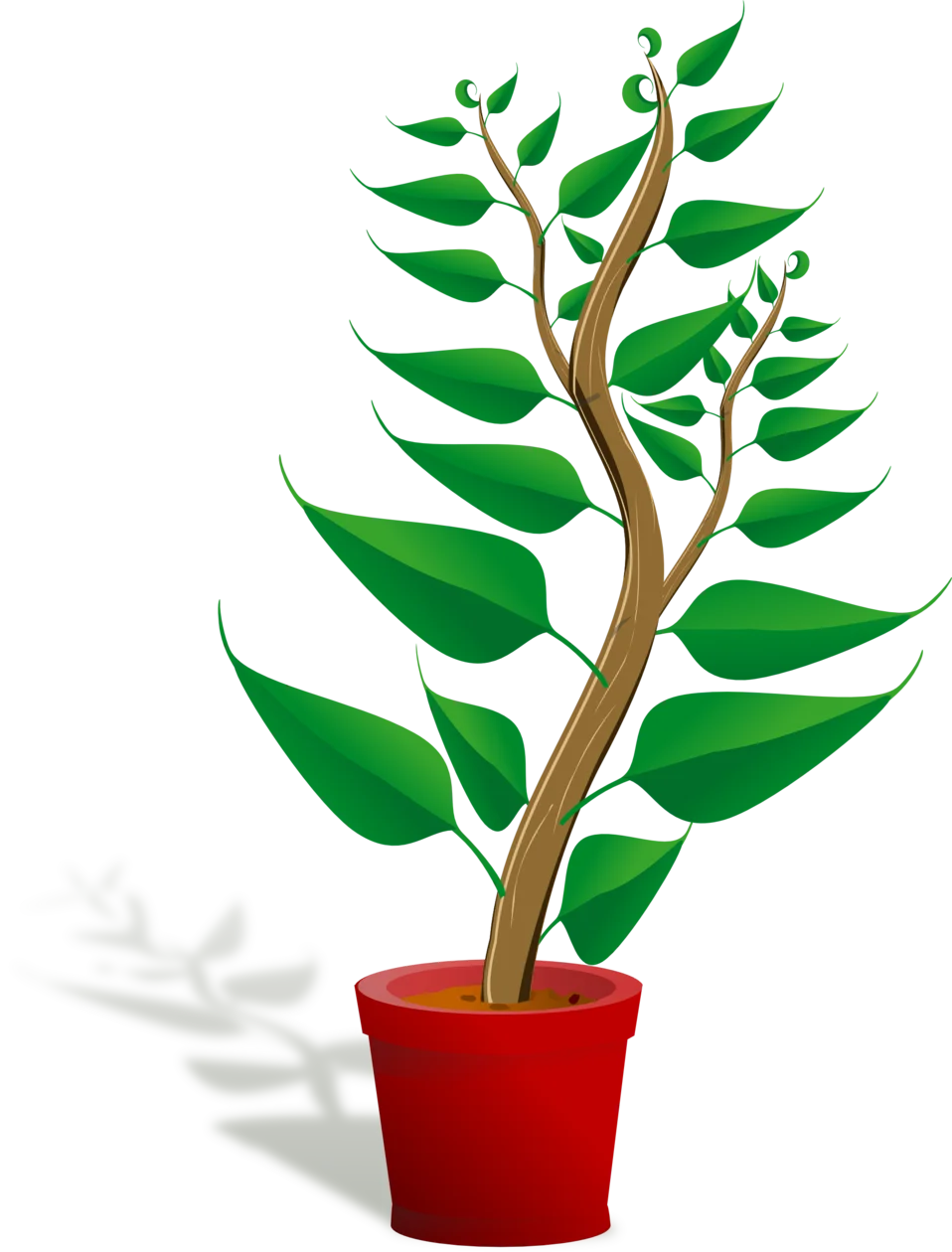 Elegant Green Potted Plant Clipart Illustration with Curved Branches
