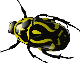 Exotic Jewel Beetle Clipart: Bold Black and Luminous Yellow Design