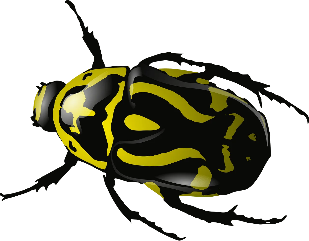 Exotic Jewel Beetle Clipart: Bold Black and Luminous Yellow Design