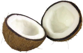 Freshly Cracked Coconut Halves Clipart Showcasing Tropical Fruit Detail