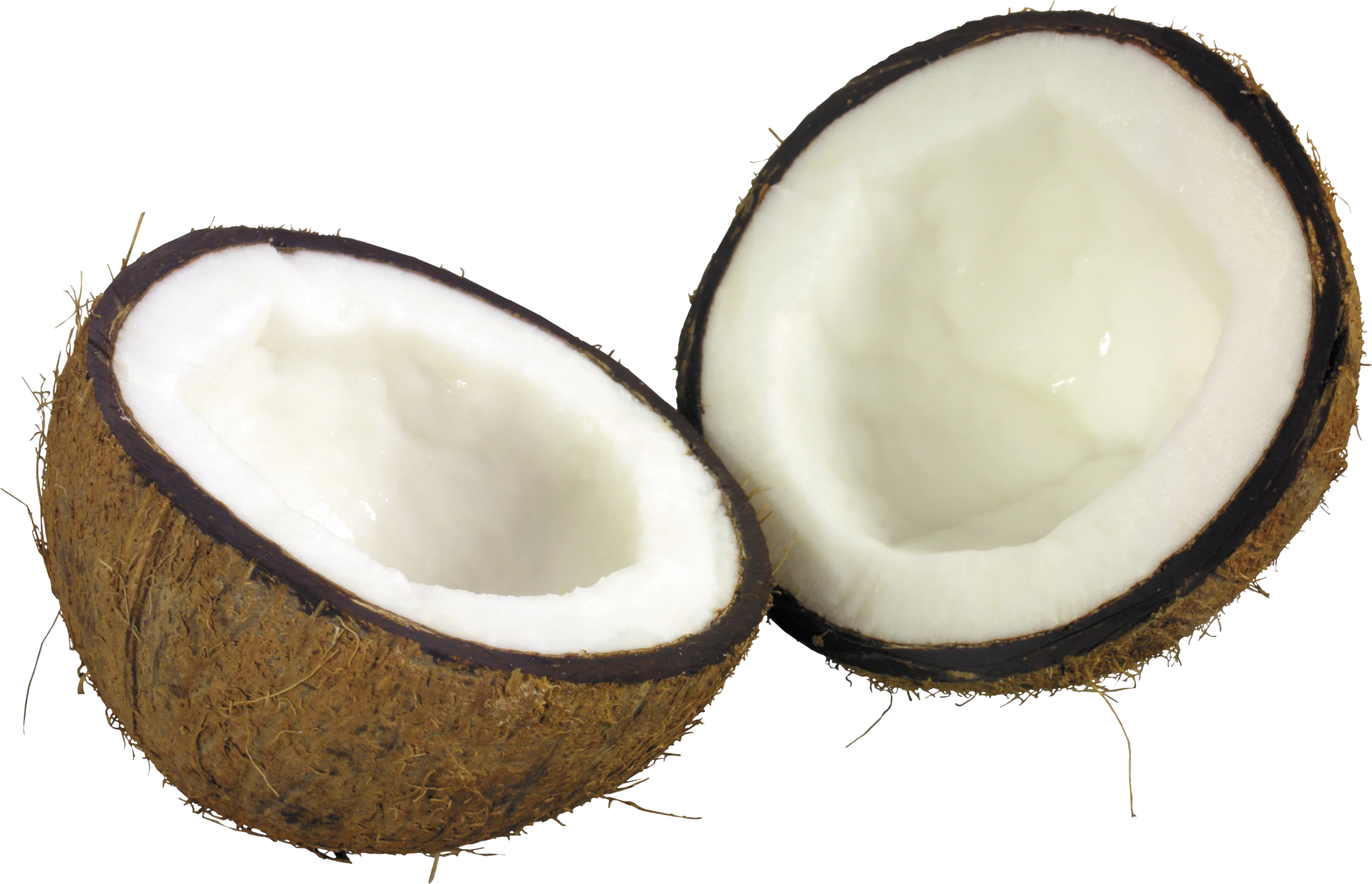 Freshly Cracked Coconut Halves Clipart Showcasing Tropical Fruit Detail
