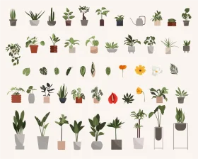 Indoor and Outdoor Plants Botanical Illustration Clipart Collection