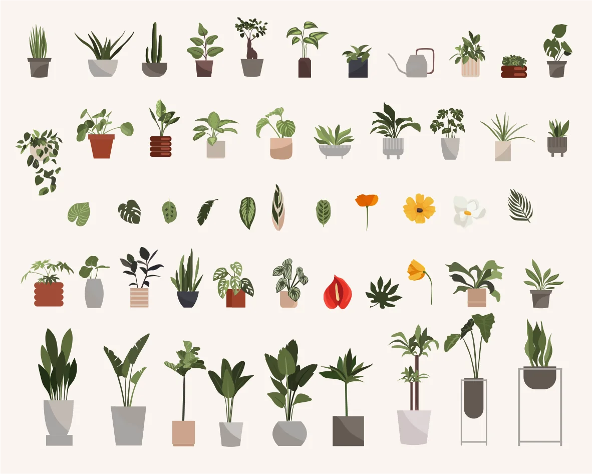 Indoor and Outdoor Plants Botanical Illustration Clipart Collection