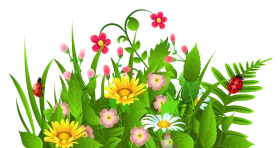 Lush Garden Clipart with Colorful Blossoming Flowers and Green Foliage